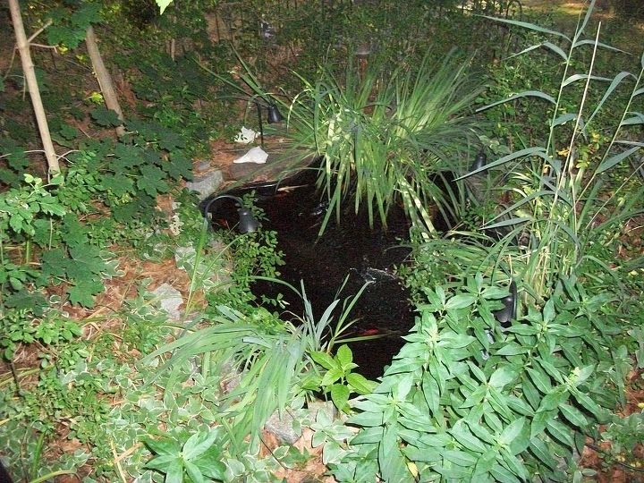 the fish pond, ponds water features