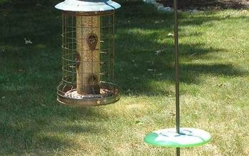 Squirrel proof bird feeder? What about those chipmunks?