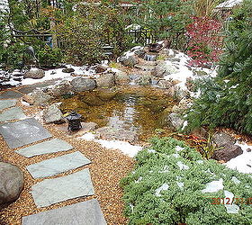 pond makeover in ma, outdoor living, ponds water features