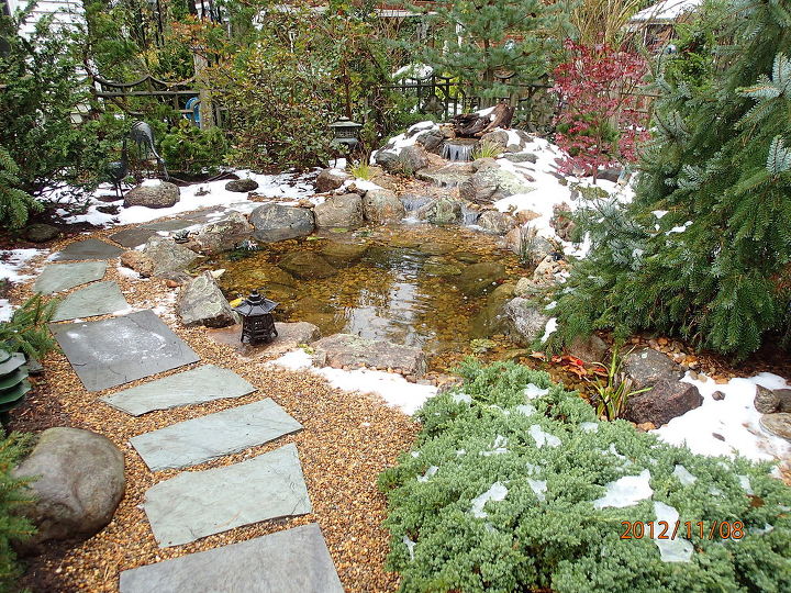 pond makeover in ma, outdoor living, ponds water features