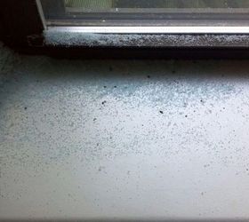 qu es este misterioso polvo azul que se acumula en el interior de nuestra ventana y