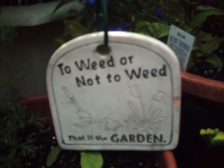 gardening signs in my yard, crafts, gardening, To weed or not to weed That is the garden