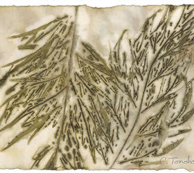 ecoprint art created by steaming leaves against watercolor paper, composting, crafts, go green, Silk Oak leaves 8 x 10 inches ecoprint on watercolor paper