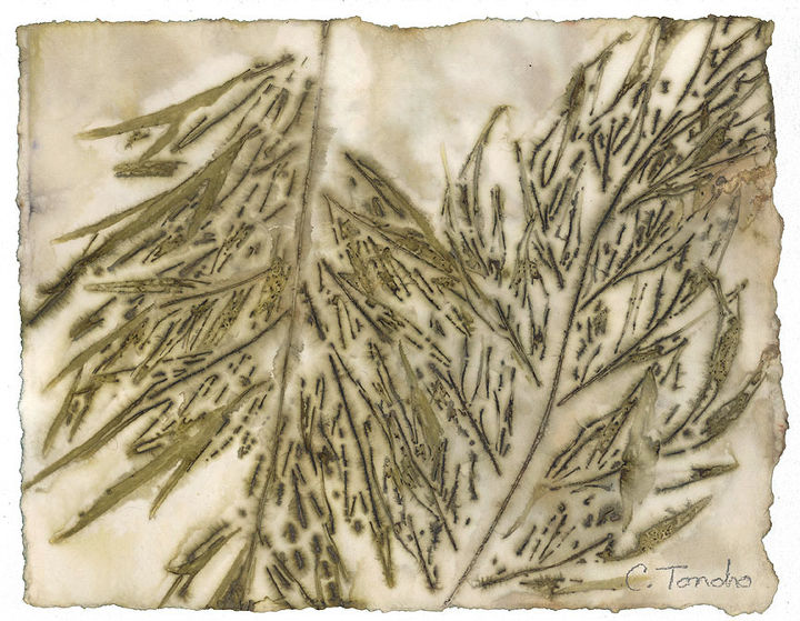 ecoprint art created by steaming leaves against watercolor paper, composting, crafts, go green, Silk Oak leaves 8 x 10 inches ecoprint on watercolor paper
