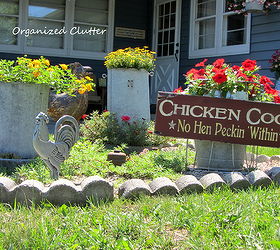garden roosters hens and chicks, gardening, outdoor living, repurposing upcycling