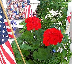 my all american front porch northern michigan, curb appeal, gardening, Even the pots get dressed up for the 4th