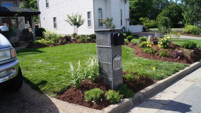 How to Create a Landscape from Scratch | Hometalk