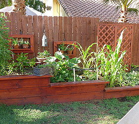 3 tierd vegetable garden bed updated with veggies, gardening, And here it is today Nothing better than home grown Veggies We had already had the pleasure of using some YUM