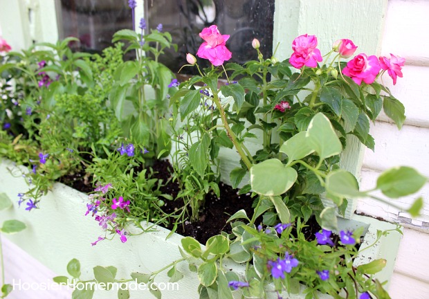 cottage garden landscaping, flowers, gardening, outdoor living, Planting flowers in the window box