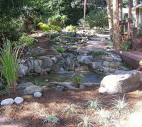 professional pond builders perspective on a backyard pond makeover in before during, outdoor living, ponds water features, The building process is Complete Now it is on to enjoyment and of course recounting all the joys twist and turns encountered during the process