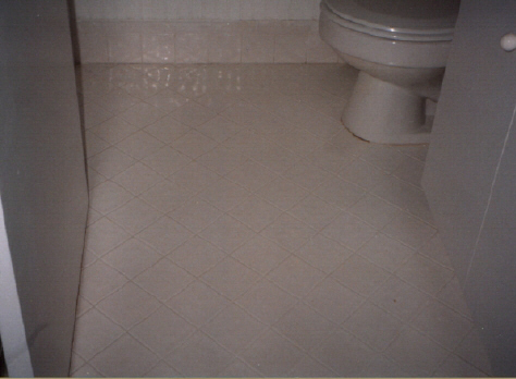 tile amp grout cleaning, cleaning tips, home maintenance repairs, tiling, After cleaning
