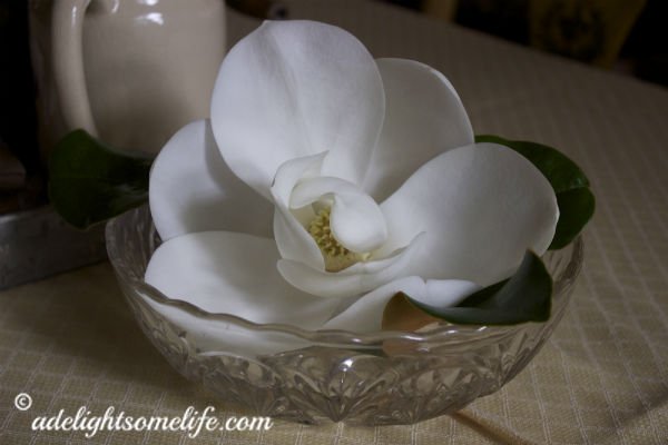 fragancias de verano para el hogar, Coloqu dos Magnolias en platos poco profundos en la mesa del comedor