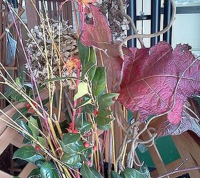 planning to take you back yard inside what is on your list, flowers, gardening, home decor, hydrangea, Yellow twig Hydrangea Holly Henry Lauder s Walking stick Coral Bark Maple