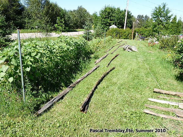 rustic split rail fence how to build a cedar rail fence, diy, fences, how to, landscape, outdoor living, repurposing upcycling, woodworking projects, Setup before to build my rustic fence Cedar Fence rails Building Instructions
