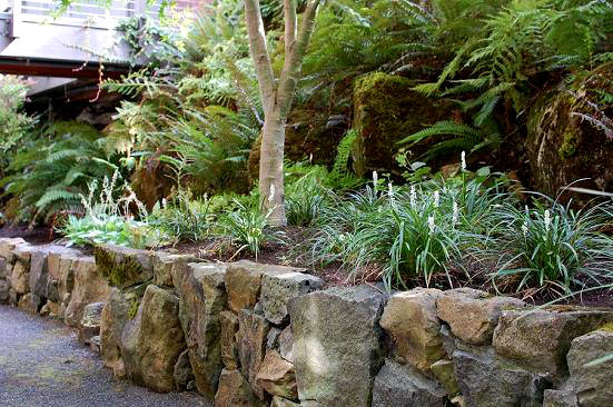 portland landscaping design, landscape, outdoor living, Shade garden and stone wall