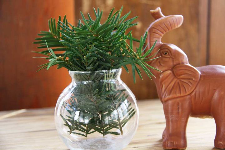 decorating with greenery, home decor, It s amazing what a little greenery can do to improve the mood in your home
