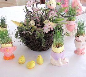 how to grow wheat grass for easter, crafts, easter decorations, seasonal holiday decor