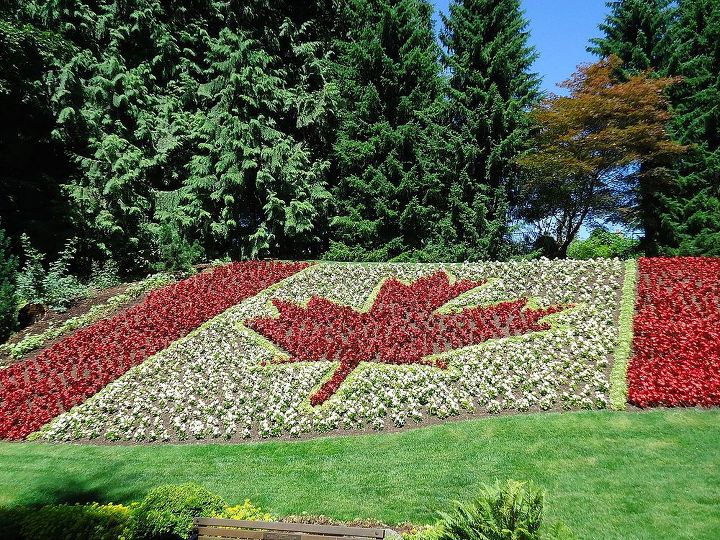 minter gardens exceeding my expectations, gardening, landscape, outdoor living, Carpet bedding used here to create the Canadian flag