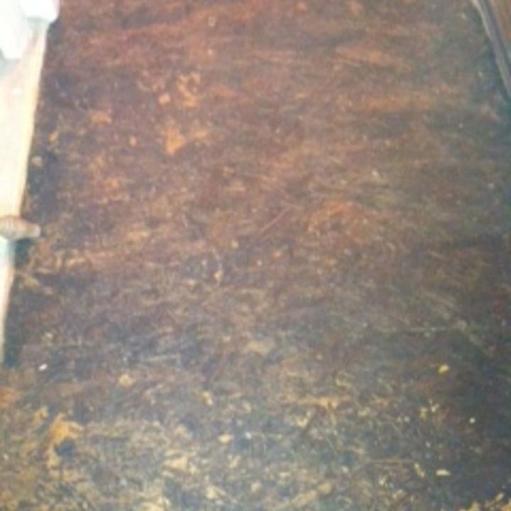 help stain too dark on particle board floor remake, Particle board floor sanded and stained but hate it