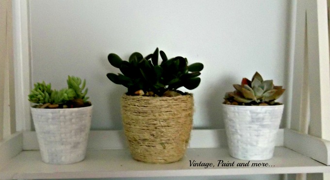 succulents in upcycled dollar store pots, flowers, gardening, succulents