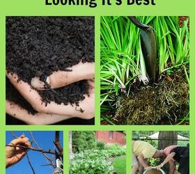 five spring tasks to get your garden looking it s best, flowers, gardening, perennials