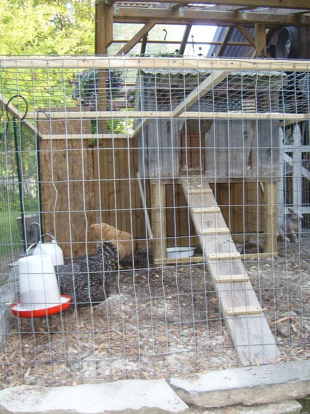 my new chicken coop made from old barnwood for henrietta amp greta, diy, pets animals