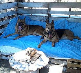 my ranch style rustic pallet daybed, diy, outdoor furniture, outdoor living, painted furniture, pallet, repurposing upcycling, rustic furniture, woodworking projects, These two couldn t wait for the finished product They needed to rest after a long hike