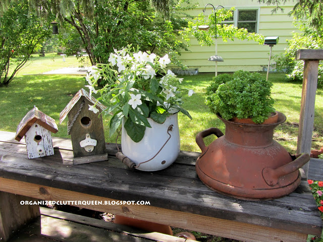 top flower junk garden posts 2012, container gardening, flowers, gardening, repurposing upcycling, succulents, In Today s Garden Junk I shared a 2 estate sale purchase of a milk can top
