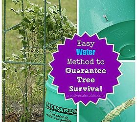 how to water a tree for guaranteed survival, gardening, Easy water method to guarantee tree and shrub survival of new transplants