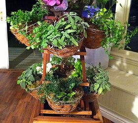 plan your dream garden with shirley bovshow and hometalk, gardening, outdoor living, A living spinning spice rack Nuff said