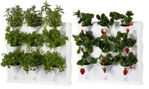 living wall for small space gardens, container gardening, gardening, home decor, Mini Garden from EarthBox offers an easy way to grow strawberries and herbs vertically