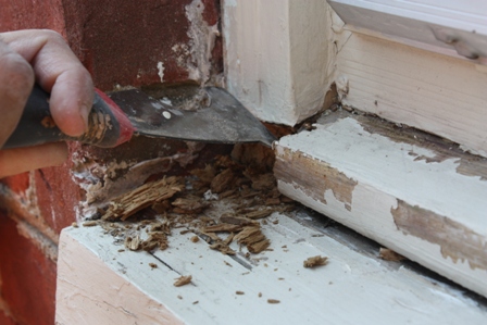 how to repair a rotten window sill, home maintenance repairs, how to, windows, The first step in making the repair is to chip out the rotten wood with a 3 in 1 tool