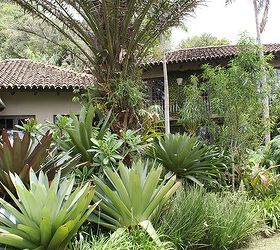 new pics 10 13 13, landscape, Bromeliad garden in Escazu Costa Rica