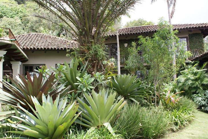 new pics 10 13 13, landscape, Bromeliad garden in Escazu Costa Rica