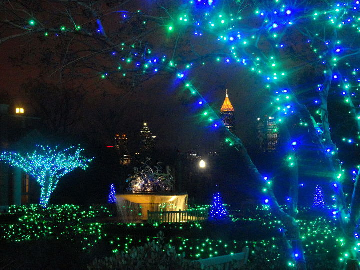 these were taken at atlantaa botanical gardens my first christmas there had to, christmas decorations, seasonal holiday decor, trying to catch the beauty in a picture was hard