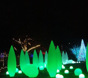 these were taken at atlantaa botanical gardens my first christmas there had to, christmas decorations, seasonal holiday decor, light show