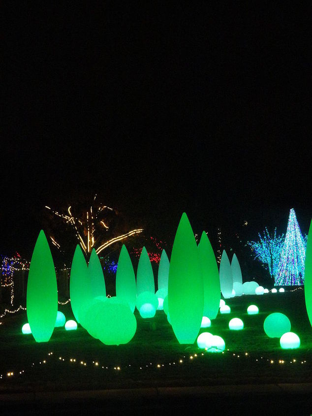 these were taken at atlantaa botanical gardens my first christmas there had to, christmas decorations, seasonal holiday decor, light show