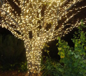 these were taken at atlantaa botanical gardens my first christmas there had to, christmas decorations, seasonal holiday decor