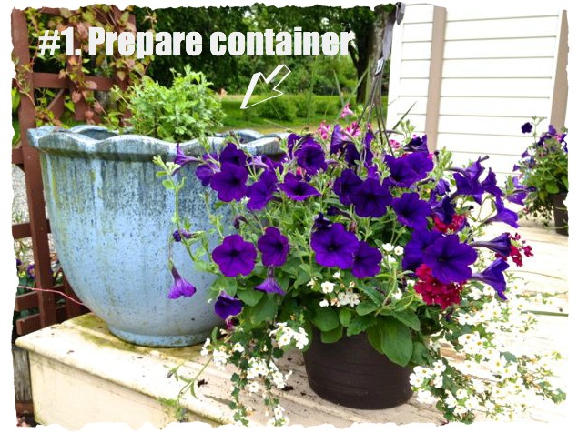 3 simple steps to create gorgeous containers, container gardening, gardening