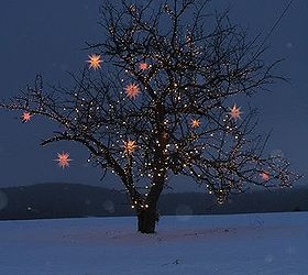 how to wrap lights around trees, diy, how to, lighting, outdoor living, Add a few Moravian stars from Christmas Lights Etc to a wrapped tree and you have the most beautiful tree on the block