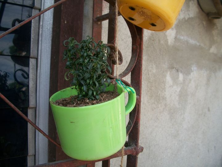old chipped plastic cups repurposed as hanging planters, gardening, repurposing upcycling