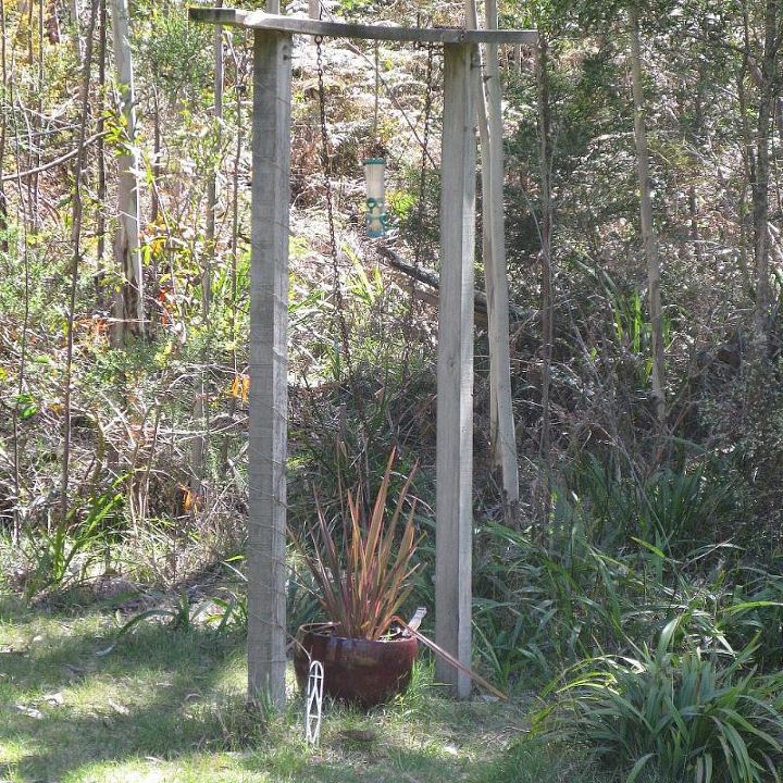 spring time in an australian bush garden, flowers, gardening, Old swing frame with plant and bird feeder