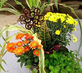14 gorgeous fall planters, flowers, gardening, halloween decorations, perennials, seasonal holiday d cor, terrarium, Harvest colors by sow and dipity