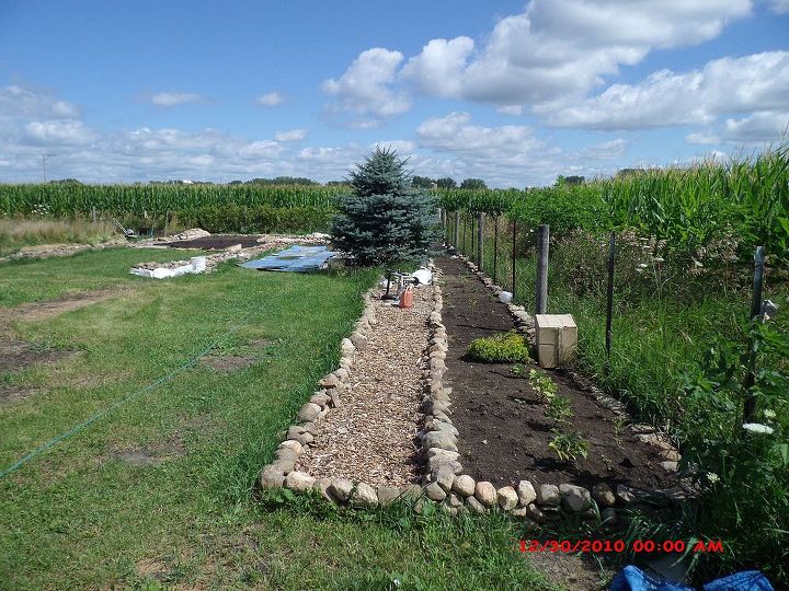 proyecto de jardinera de joe 2013, Las camas de la pared trasera est n progresando e incluso tenemos algunas dalias y gladiolos plantados all