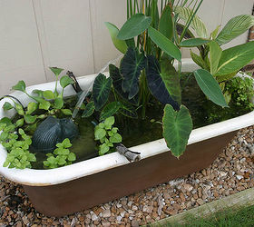 container water gardens, Got an old bathtub Don t toss it stick it in the garden and fill it with aquatic plants and a fountain