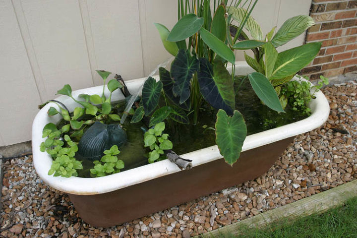 container water gardens, Got an old bathtub Don t toss it stick it in the garden and fill it with aquatic plants and a fountain
