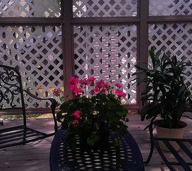 enjoying my deck, decks, flowers, gardening, hibiscus, outdoor living, Geraniums going strong