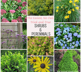 Tried-and-True Shrubs & Perennials | Hometalk