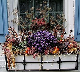 fall window boxes, container gardening, home decor, seasonal holiday decor, Small gourds two ornamental kale one aster hay and dried hydrangeas plus seed pods from coneflowers and bronze fennel make a low cost but beautiful Fall window box http pinterest com barbrosen