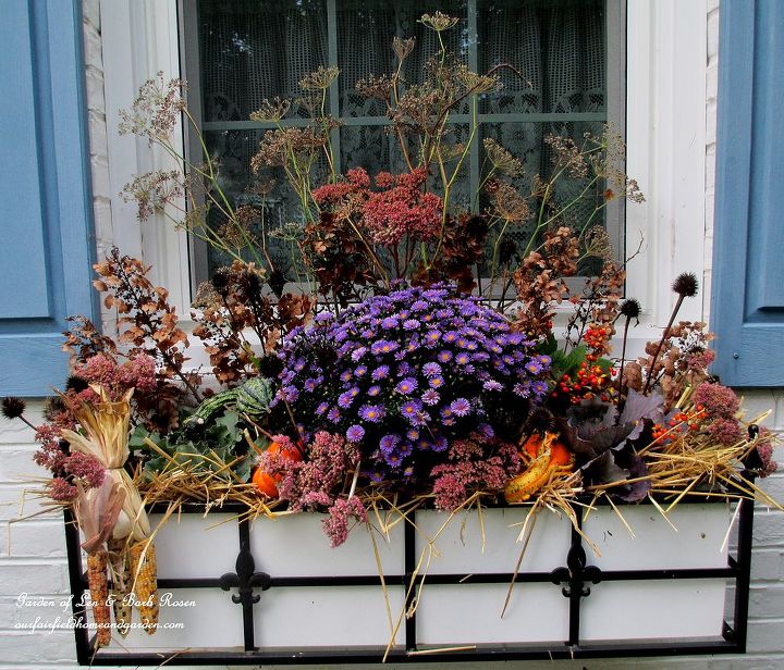 fall window boxes, container gardening, home decor, seasonal holiday decor, Small gourds two ornamental kale one aster hay and dried hydrangeas plus seed pods from coneflowers and bronze fennel make a low cost but beautiful Fall window box http pinterest com barbrosen